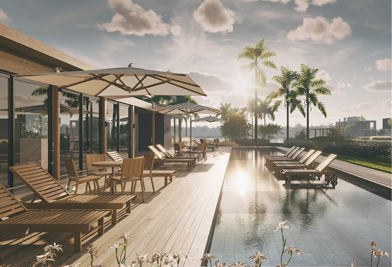 imagem da praia com passaros